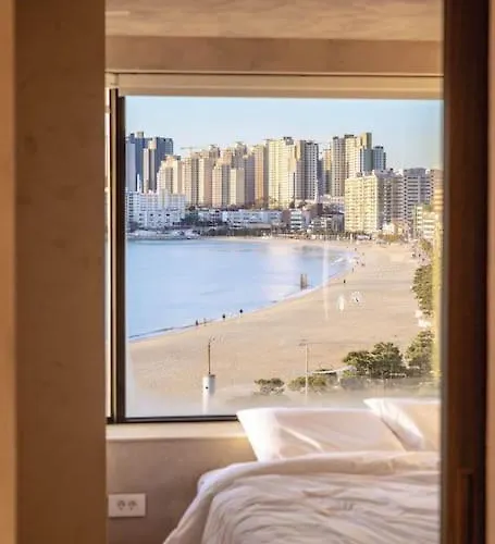 Paradise On Earth Busan